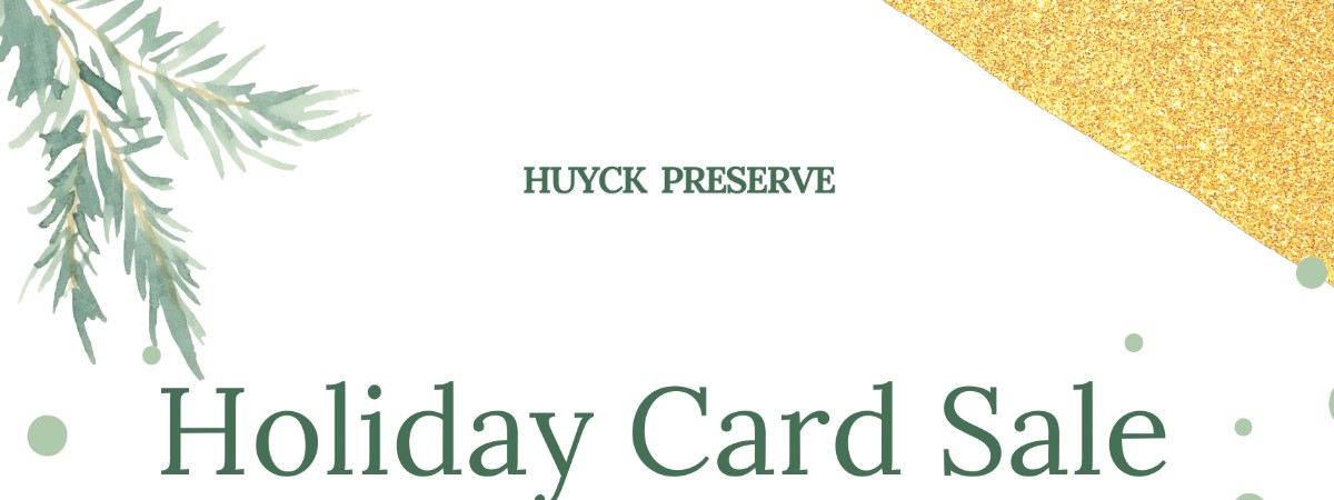 Holiday Card Sale and Open House