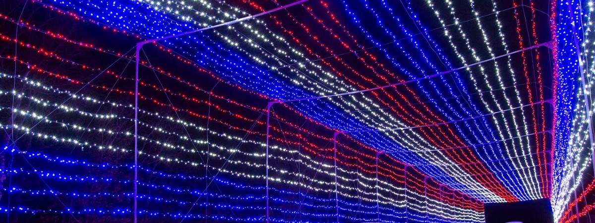 a colorful holiday lights display