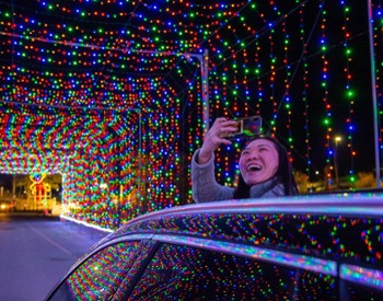 a colorful holiday lights display