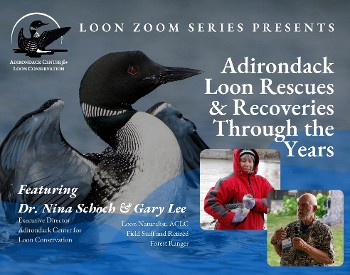 Graphic displaying Loon Zoom presentation title and speaker names