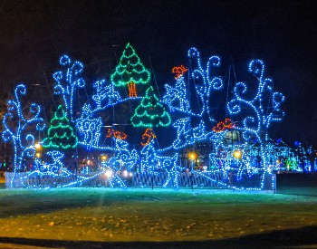 holiday lights