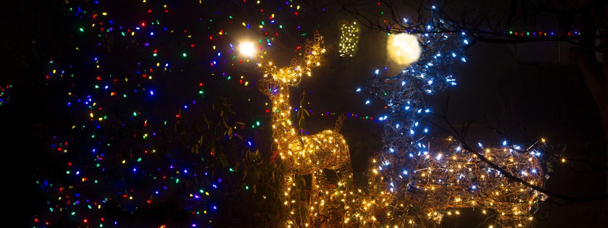 a holiday light display of tree and deer