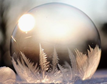 Glass globe with feather crystals