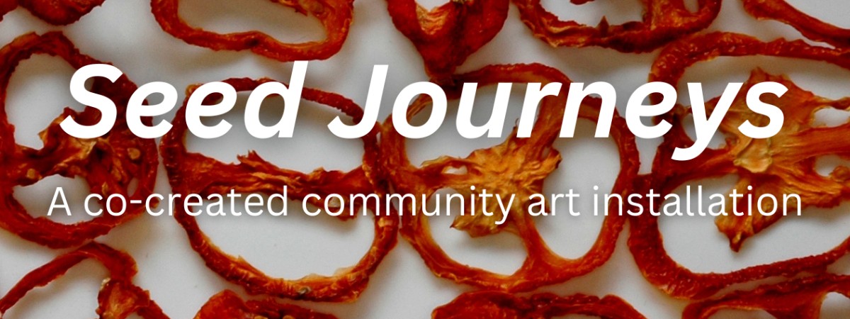 Seed Journeys, a co-created community art installation