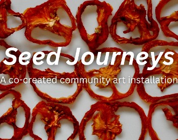 Seed Journeys, a co-created community art installation