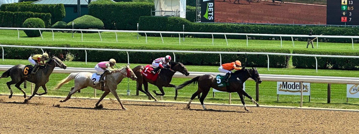 horses on a dirt track