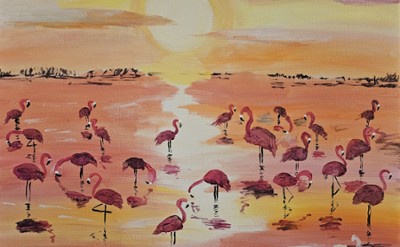 Flamingos 