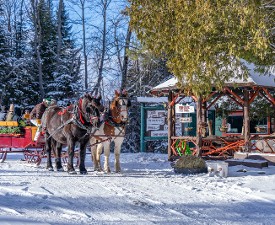 Sleigh Rides