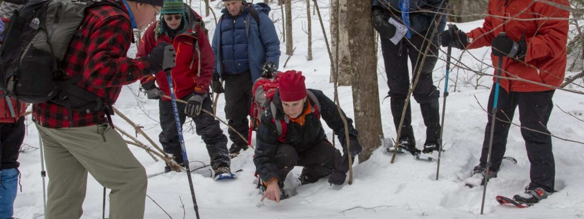 Mammal Tracking