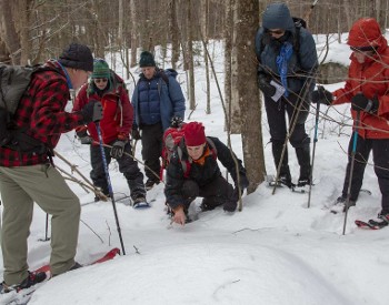 Mammal Tracking