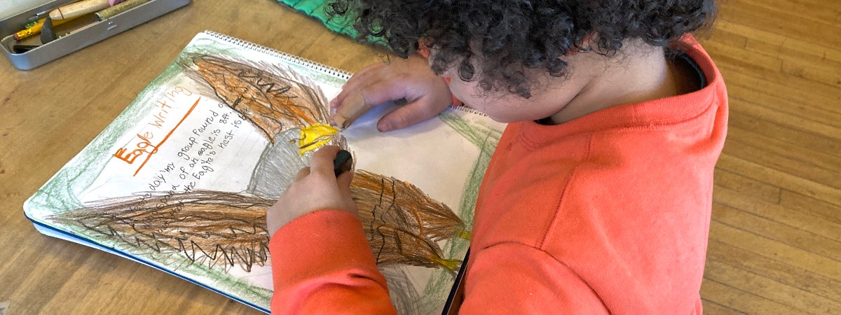 Child drawing an eagle