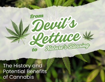 From Devil's Lettuce to Nature's Blessing