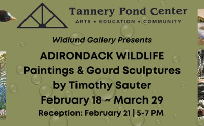 Adirondack Wildlife Exhibit