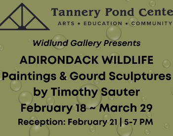 Adirondack Wildlife Exhibit