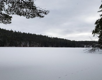 Lost Pond Trail