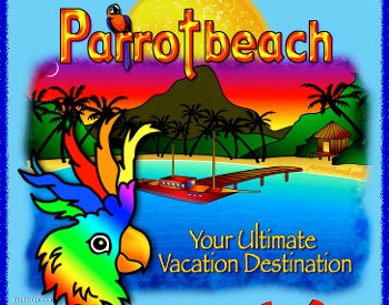 parrotbeach 2-22-25