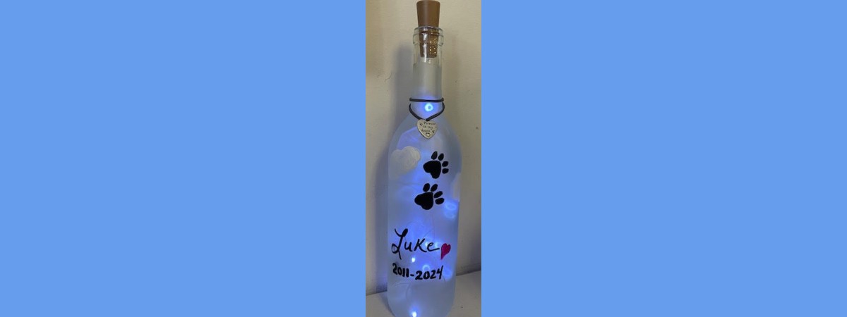 Pet Memorial Light-up Bottle Paint & Sip Event!