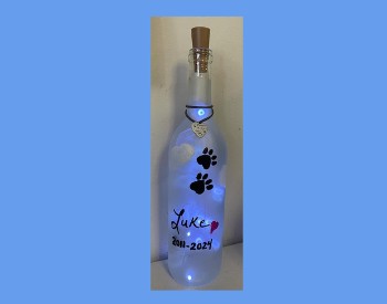 Pet Memorial Light-up Bottle Paint & Sip Event!