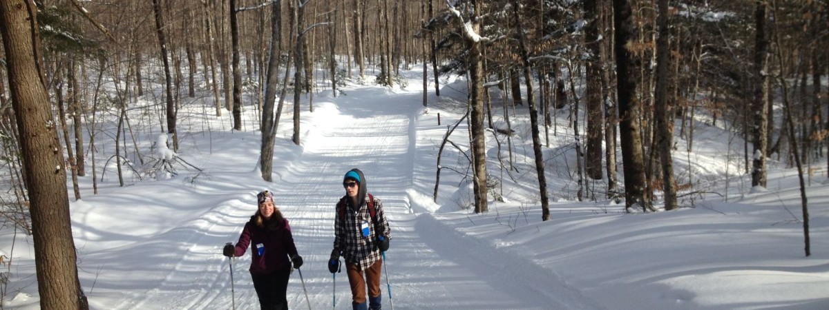 XC Ski winter