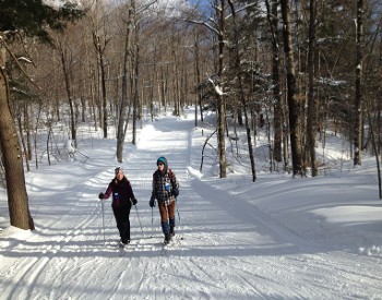 XC Ski winter