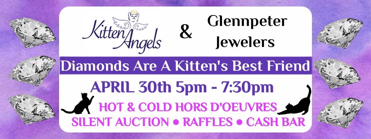 Diamonds Are A Kitten's Best Friend Kitten Angels