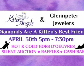 Diamonds Are A Kitten's Best Friend Kitten Angels