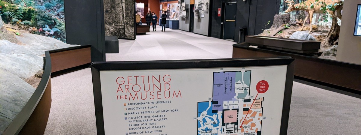 new york state museum map