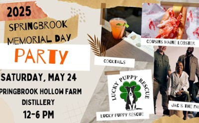 springbrook memorial day party