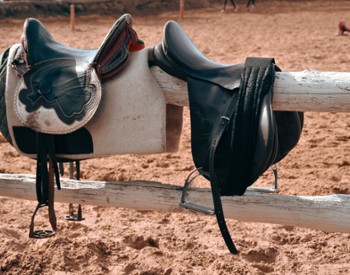 tack saddle