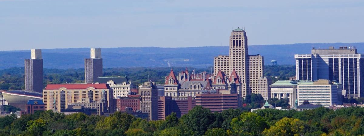 albany skyline