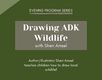 Banner for Evening Program: Drawing ADK Wildlife