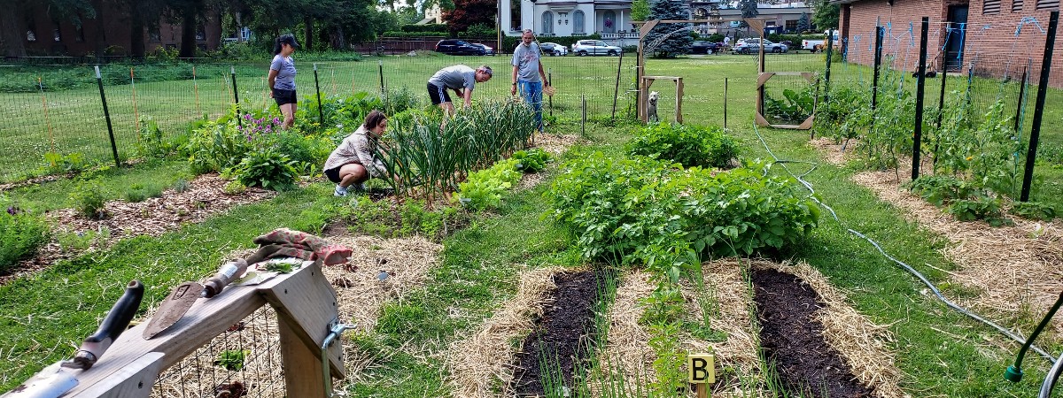 Midseason garden