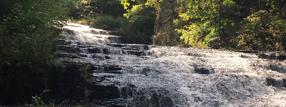 falls