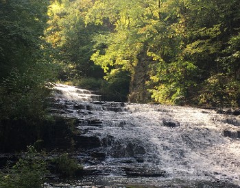 falls