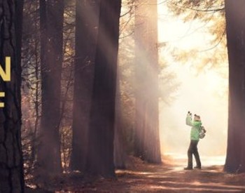 The Hidden Life of Trees