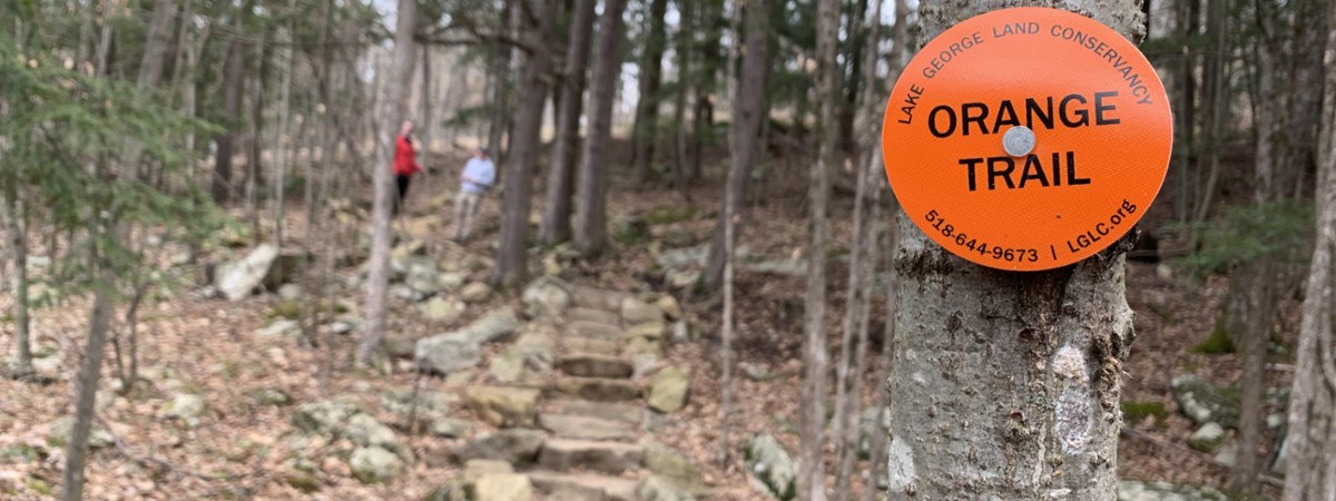 An orange trail marker on tree at the Schumann preserve.