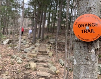 An orange trail marker on tree at the Schumann preserve.