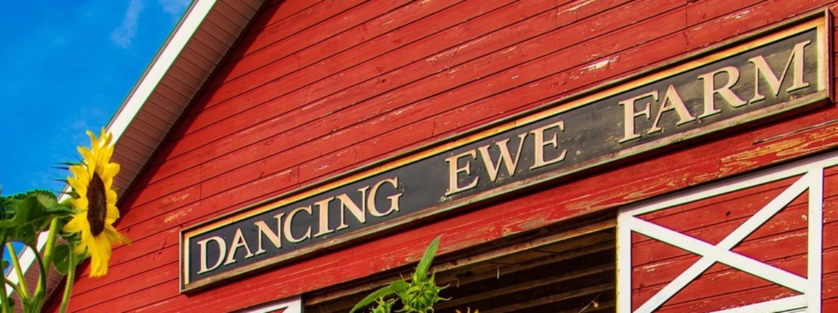 Dancing Ewe farm