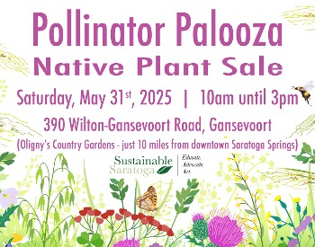 Pollinator Palooza Native Plant Sale