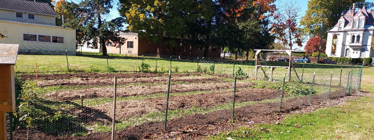 Early garden 2024