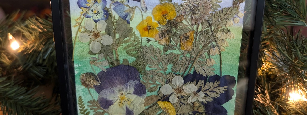 pressed flowers in a frame