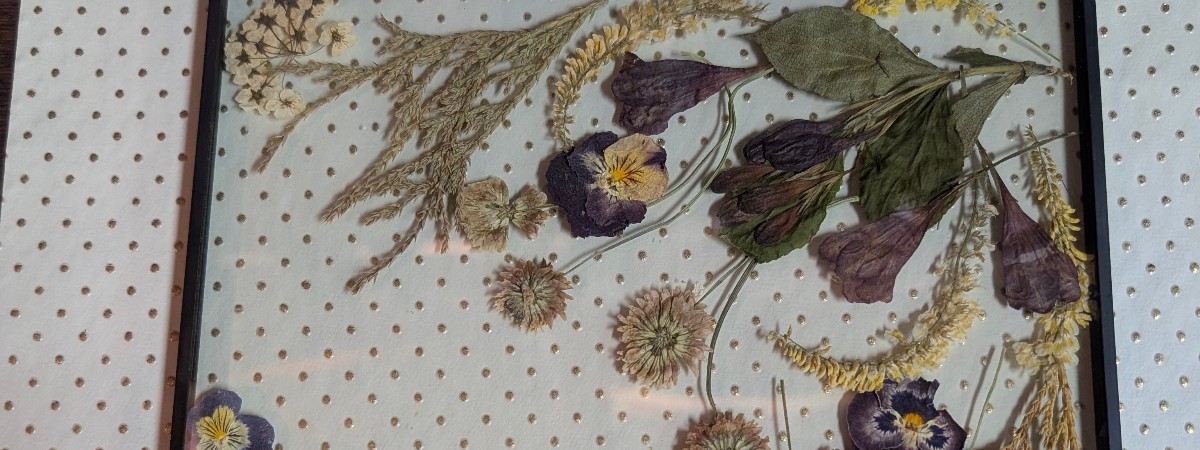 pressed flowers in a frame with a background of tiny dots