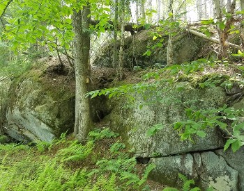 Large rocks covered in moss with trees surrounding them.