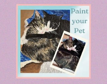 pet