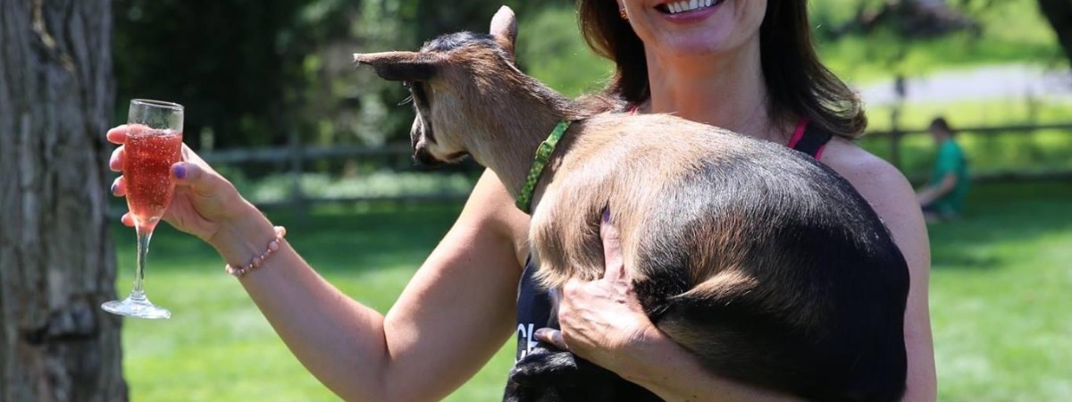 Goat Yoga at intothewoodsfarmny.com