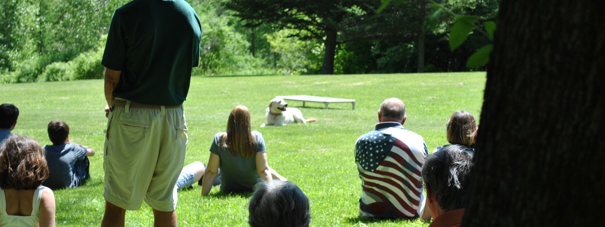 Dog Training Demonstration