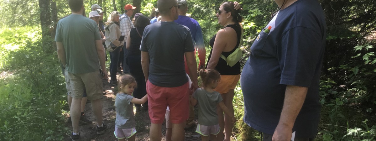 Mushroom Walk with Ed Braley