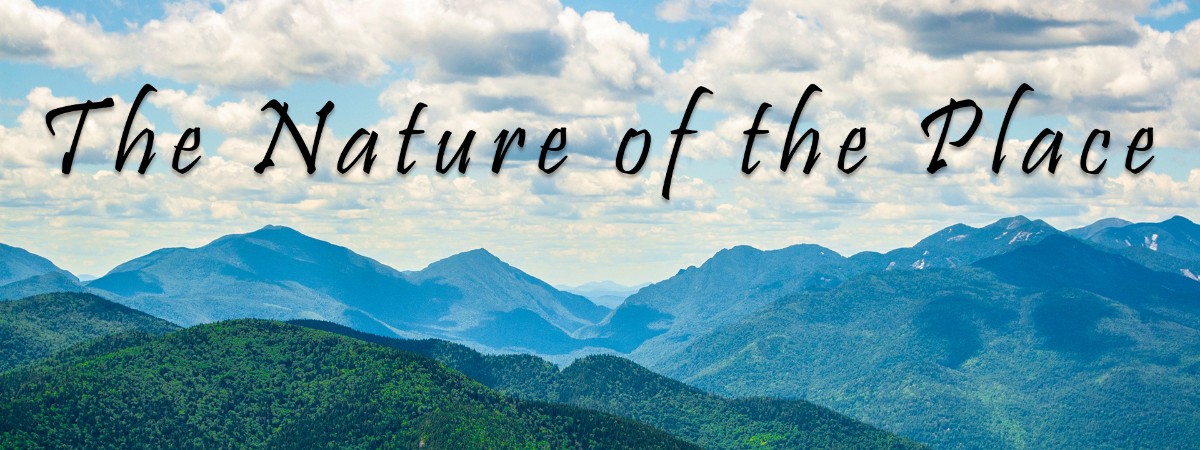 Nature of the place
