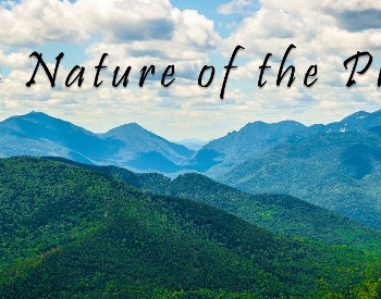 Nature of the place