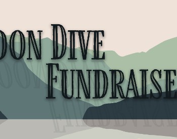 Loon Dive